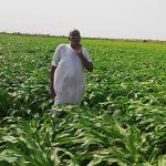 (خَمَّة نَفَس) عبدالوهاب السنجك يكتب : البرهان يدعو للحوار فهل تخلع القوى السياسية جلباب الحزب.