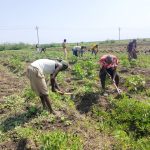 النذير الشيخ محمد نور نور الدين يكتب / الحوش- تنهض.. نهضة تنموية شاملة تعيد لوحدة الحوش الإدارية بريقها ومكانتها الرائدة