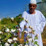 كلية القانون بجامعة الجزيرة تنظم سمنارًا علميًا حول «قوانين العمل المصرفي بين الأصالة الفقهية والمعاصرة»